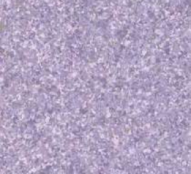 SÀN VINYL GERFLOR MIPOLAM AMBIANCE ULTRA - LAVENDER 2075