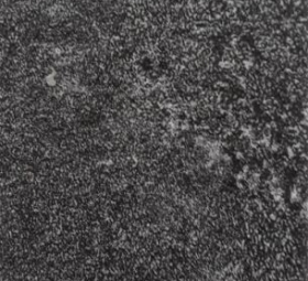 SÀN VINYL SUNYOUNG STONE - SAS 412